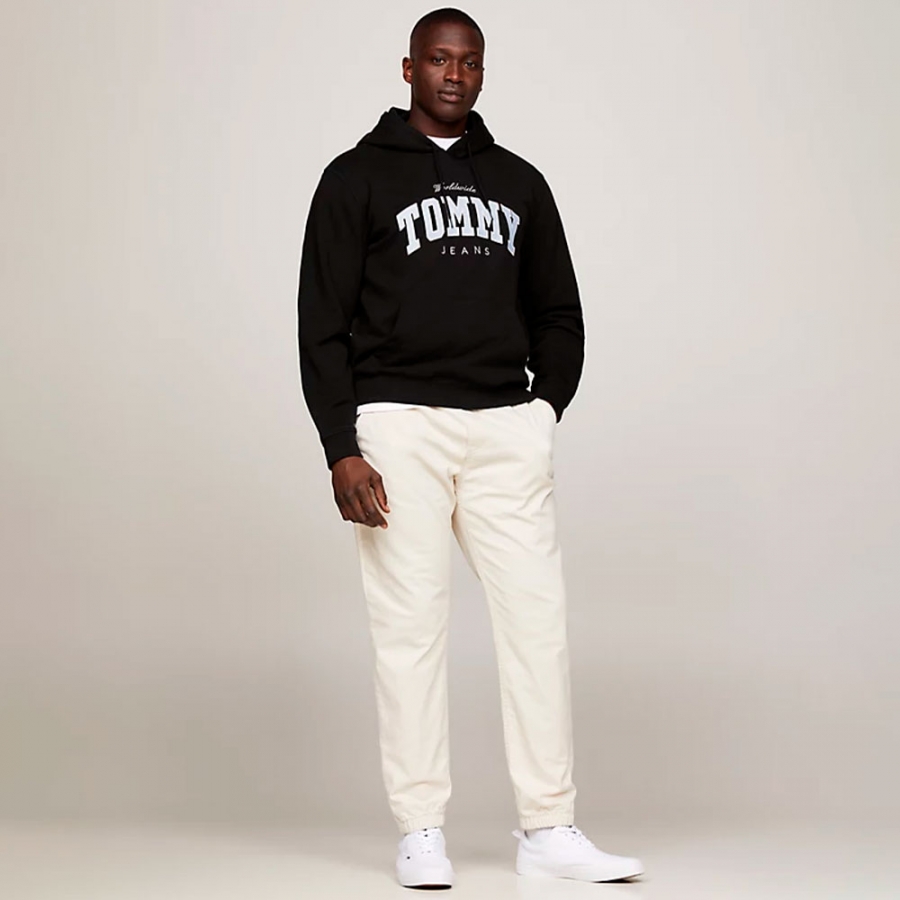 college-plush-hoodie-sweatshirt college-plush-hoodie-sweatshirt