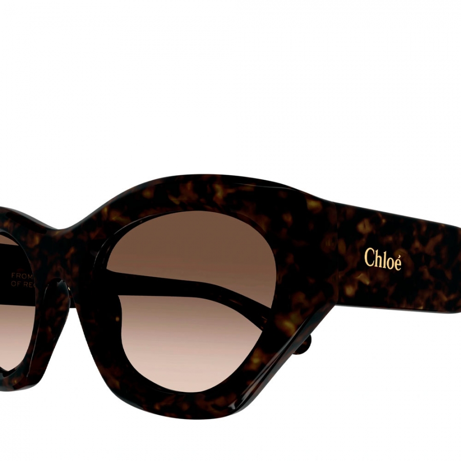 sunglasses-ch0220s sunglasses-ch0220s