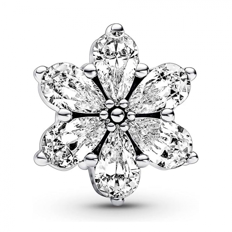 charm-herbario-brillante-792623c01 charm-herbario-brillante-792623c01