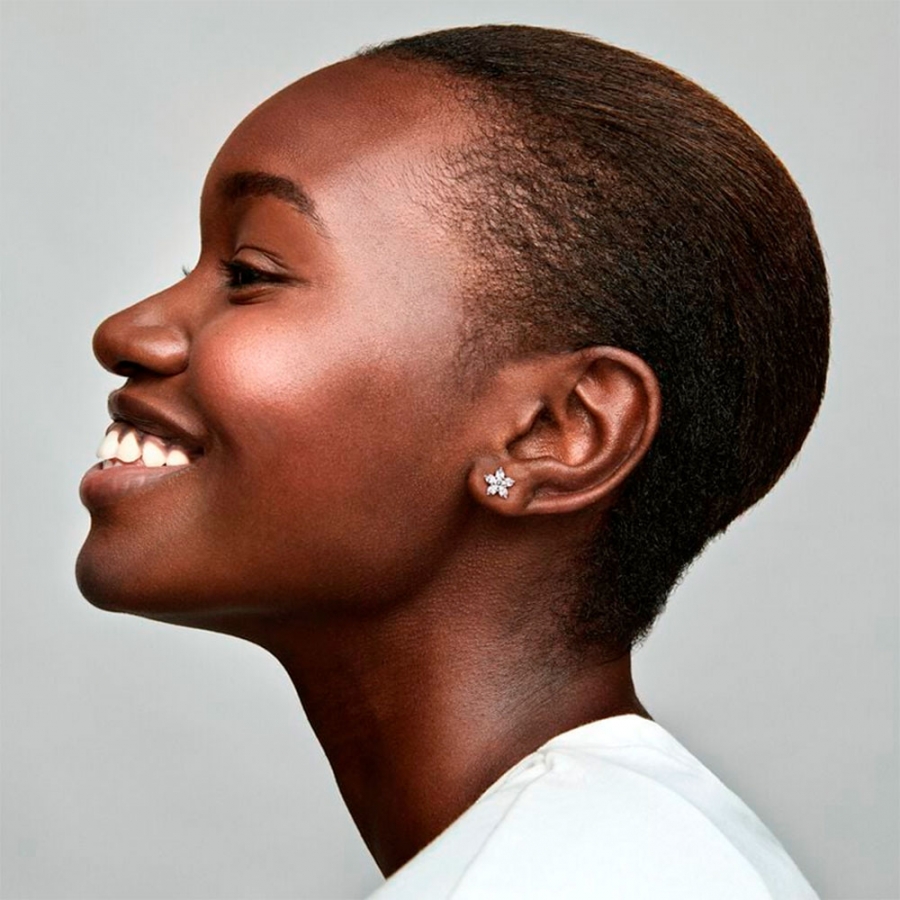 brincos-brilhantes-de-floco-de-neve-299239c01 brincos-brilhantes-de-floco-de-neve-299239c01