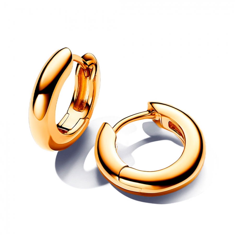 boucles-d-oreilles-rondes-263320c00 boucles-d-oreilles-rondes-263320c00