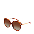 002-HAVANA/BROWN