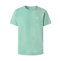 621-SAGE GREEN