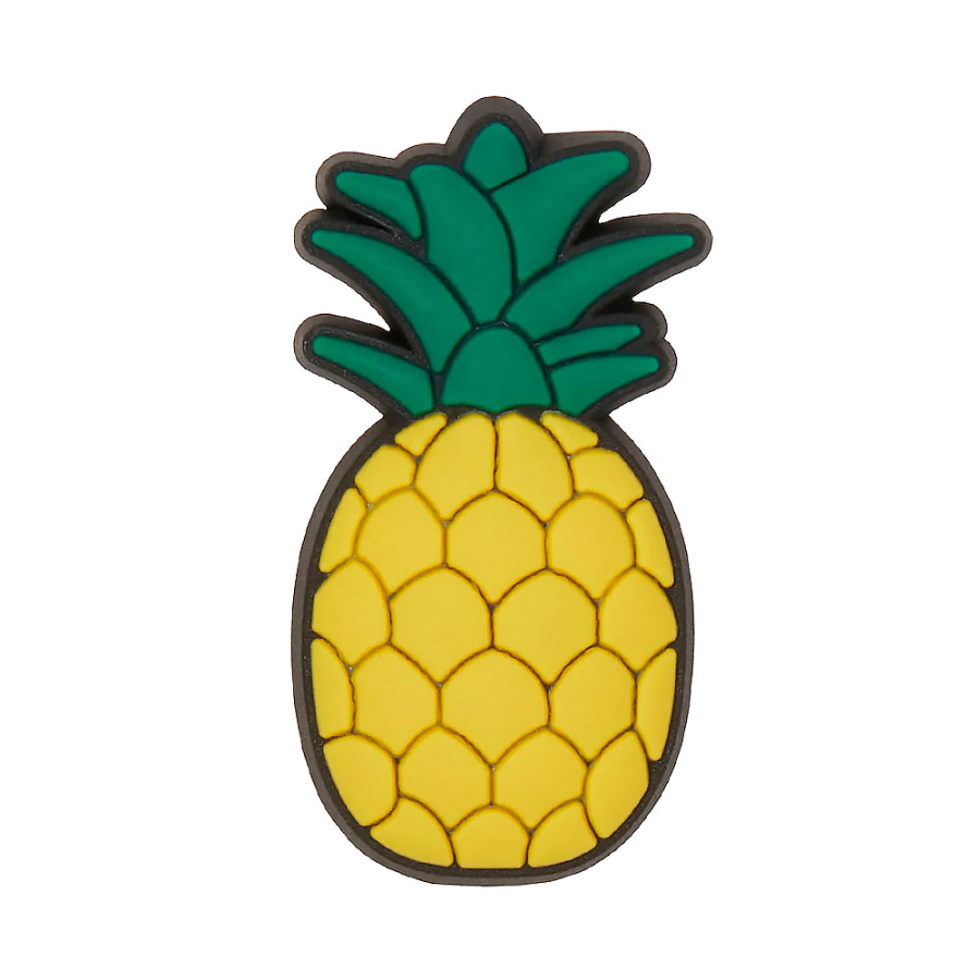 pineapple-accessory pineapple-accessory