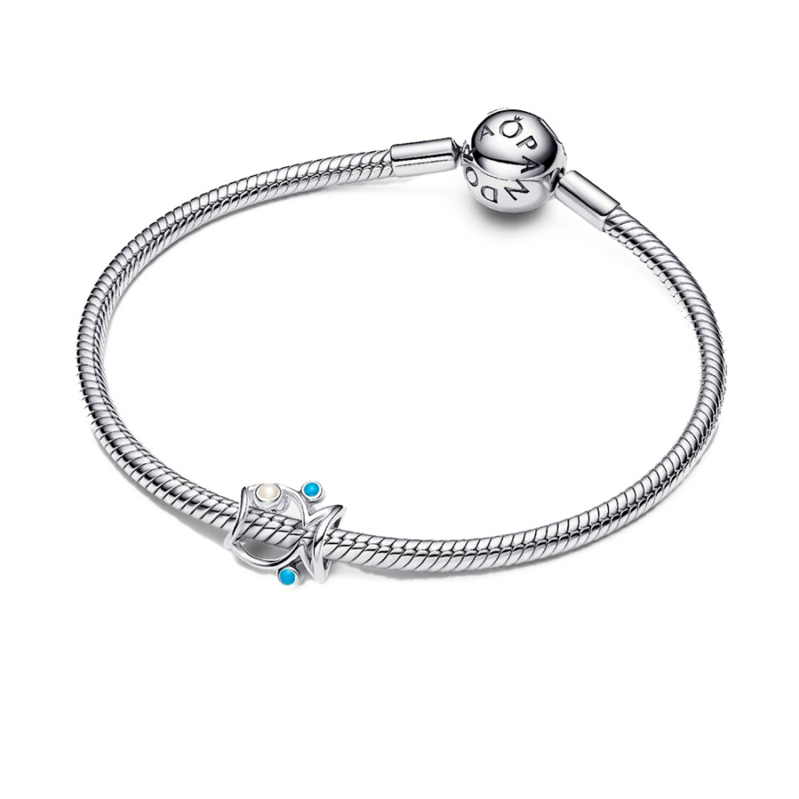 charm-fish-793819c01 charm-fish-793819c01