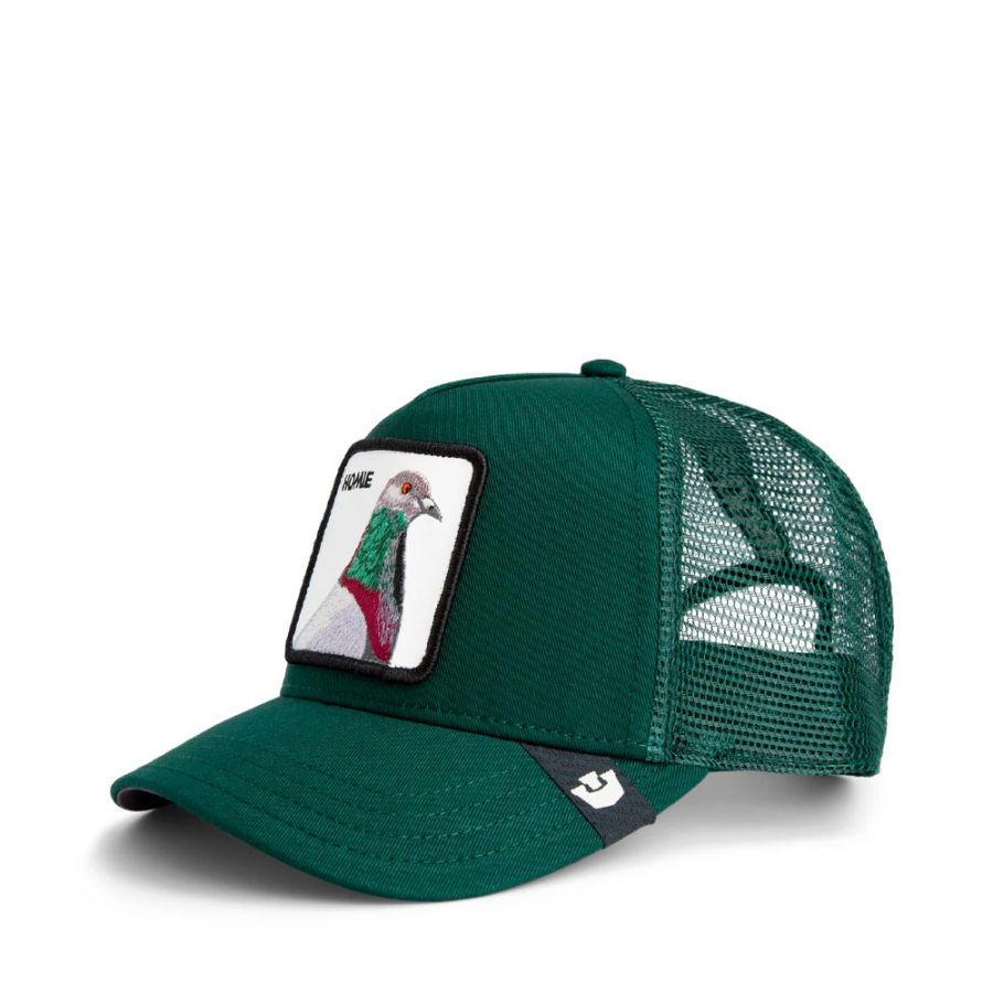 o-bone-homie-pigeon