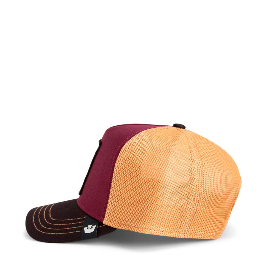 dreifarbige-eulenmutze