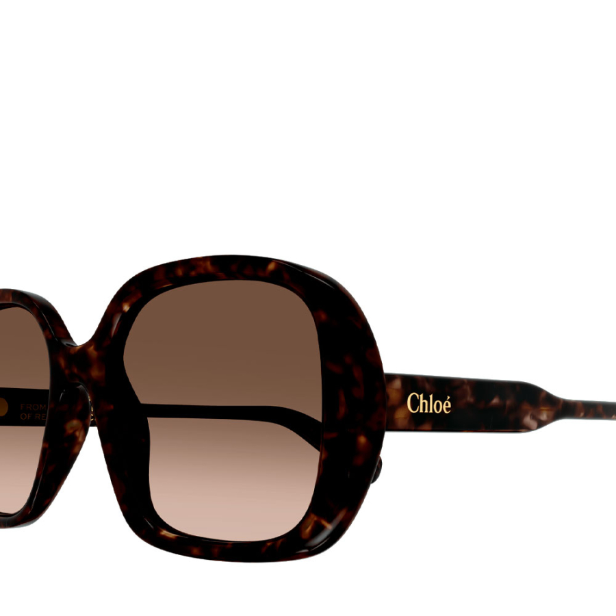 sonnenbrille-ch0222s
