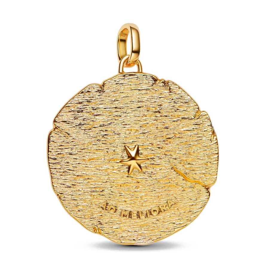 grande-medalhao-com-flechas-cruzadas-764084c01