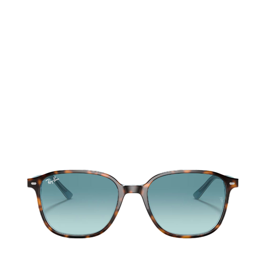 leonard-sunglasses-0rb2193 leonard-sunglasses-0rb2193