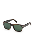 55N-DARK HAVANA/GREEN