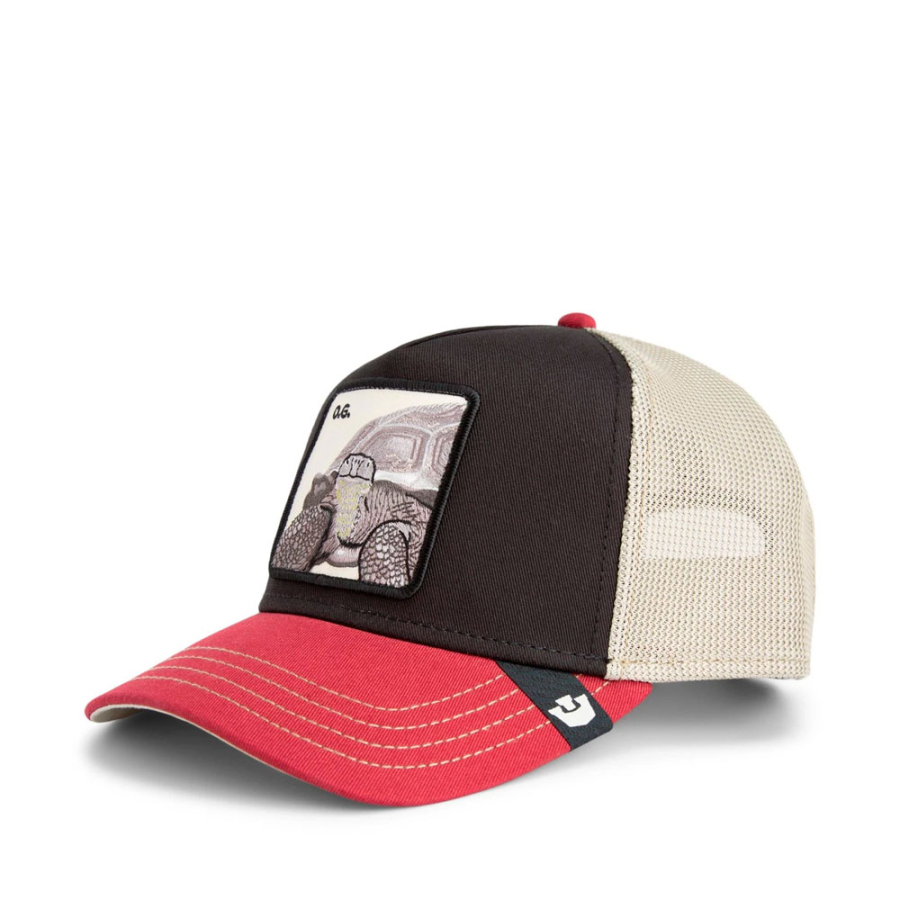 cappello-a-forma-di-tartaruga-tricolore cappello-a-forma-di-tartaruga-tricolore