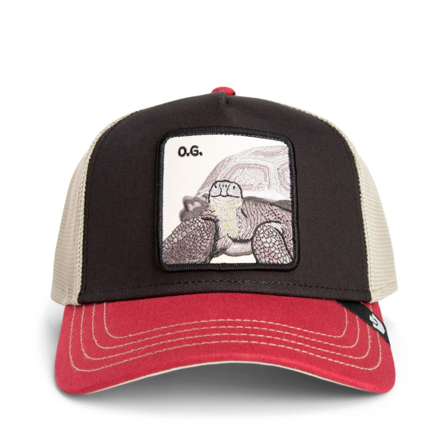 casquette-tricolore-tortue casquette-tricolore-tortue