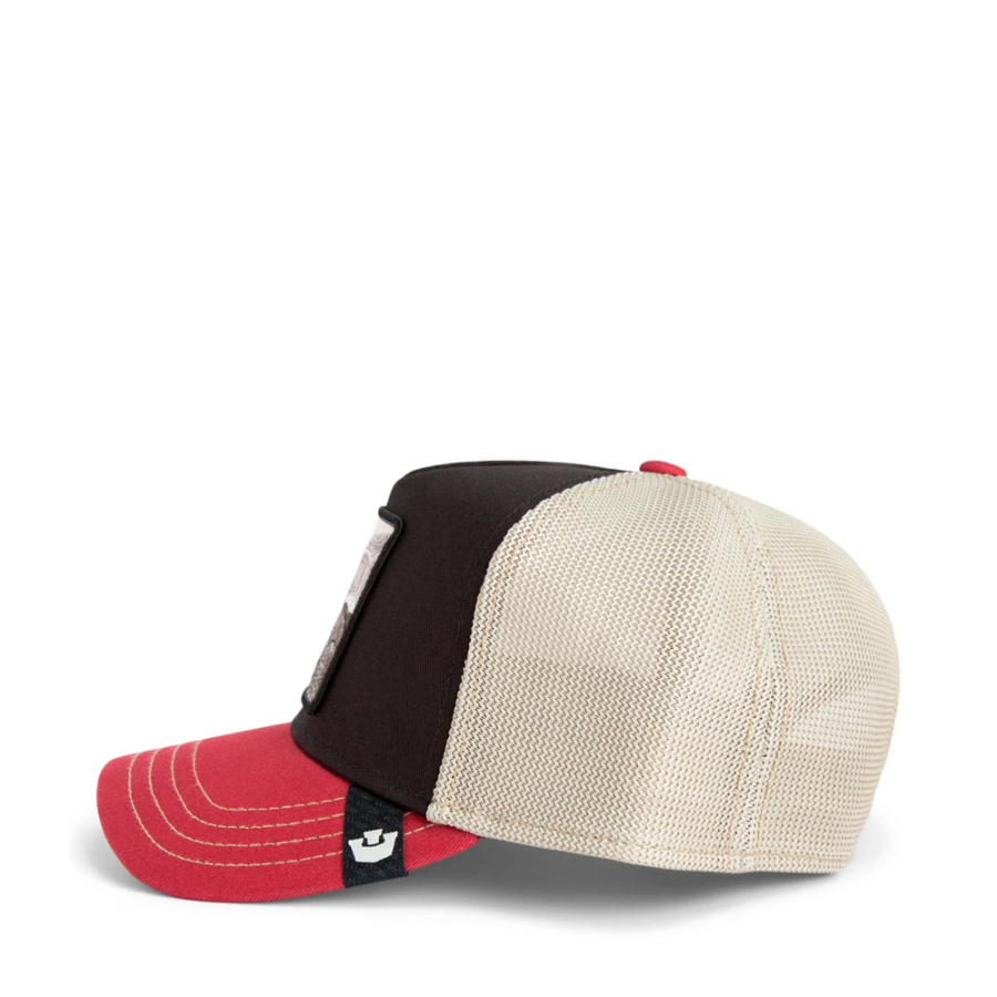 gorra-tricolor-tortiouse gorra-tricolor-tortiouse