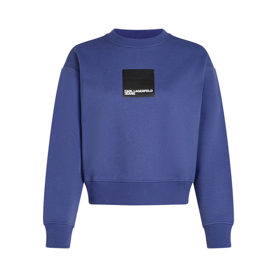 regular-box-logo-sweatshirt