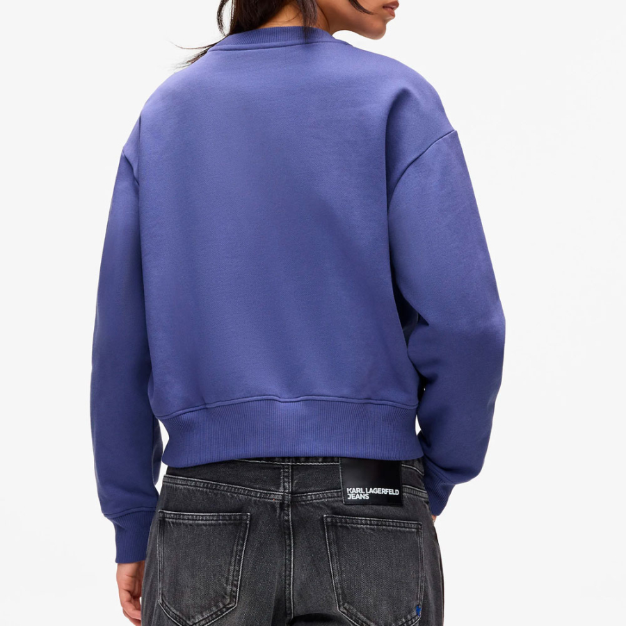 regular-box-logo-sweatshirt