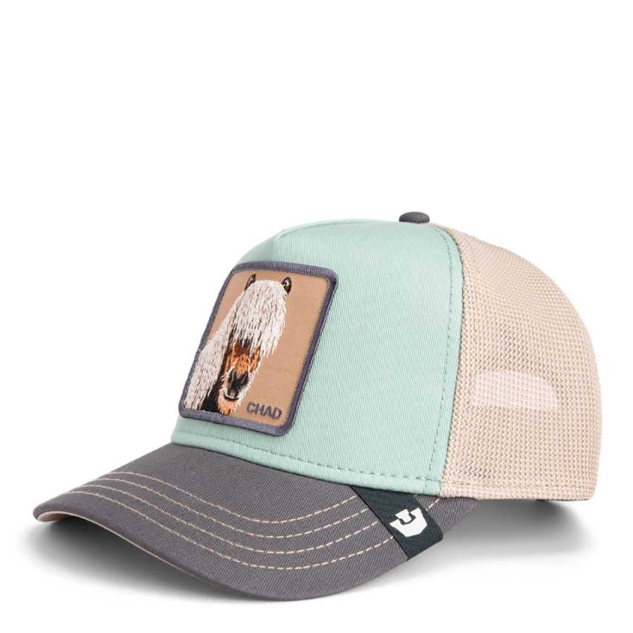 berretto-tricolore-per-cavallo