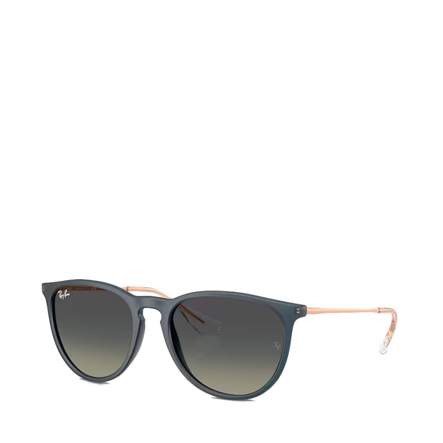 gafas-de-sol-0rb4171-erika
