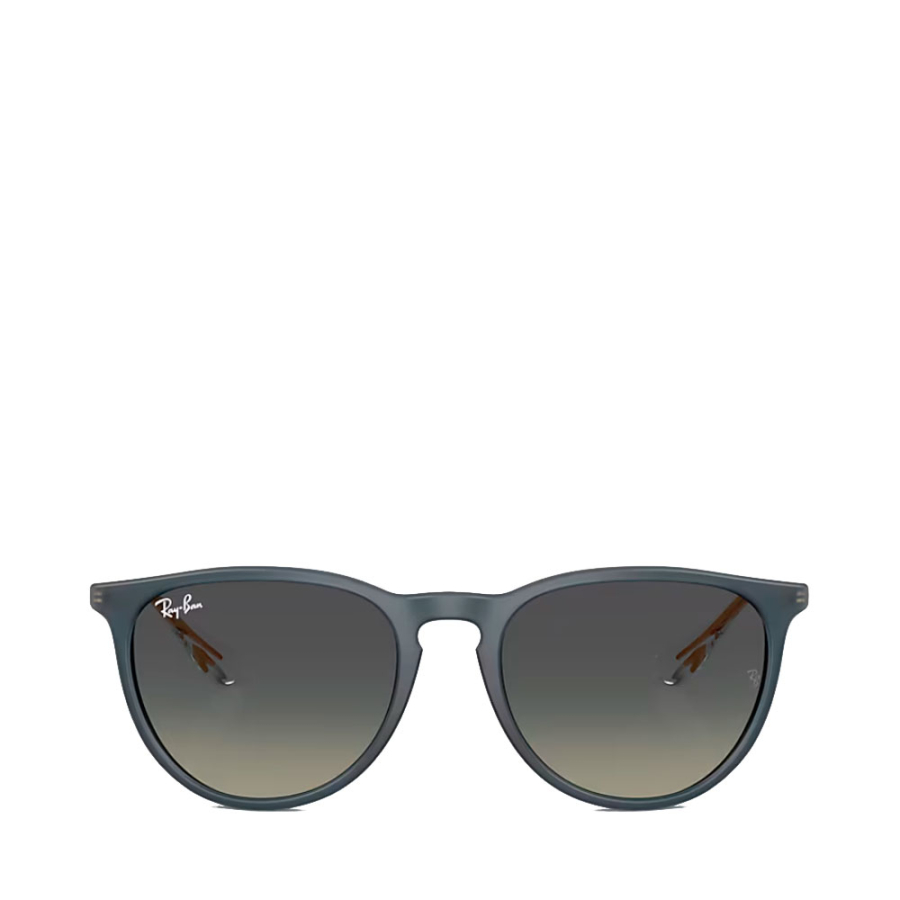 erika-sunglasses-0rb4171 erika-sunglasses-0rb4171
