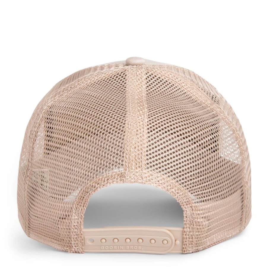 le-casquette-de-lezard-hors-la-loi