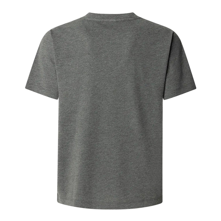 regular-fit-printed-graphic-t-shirt