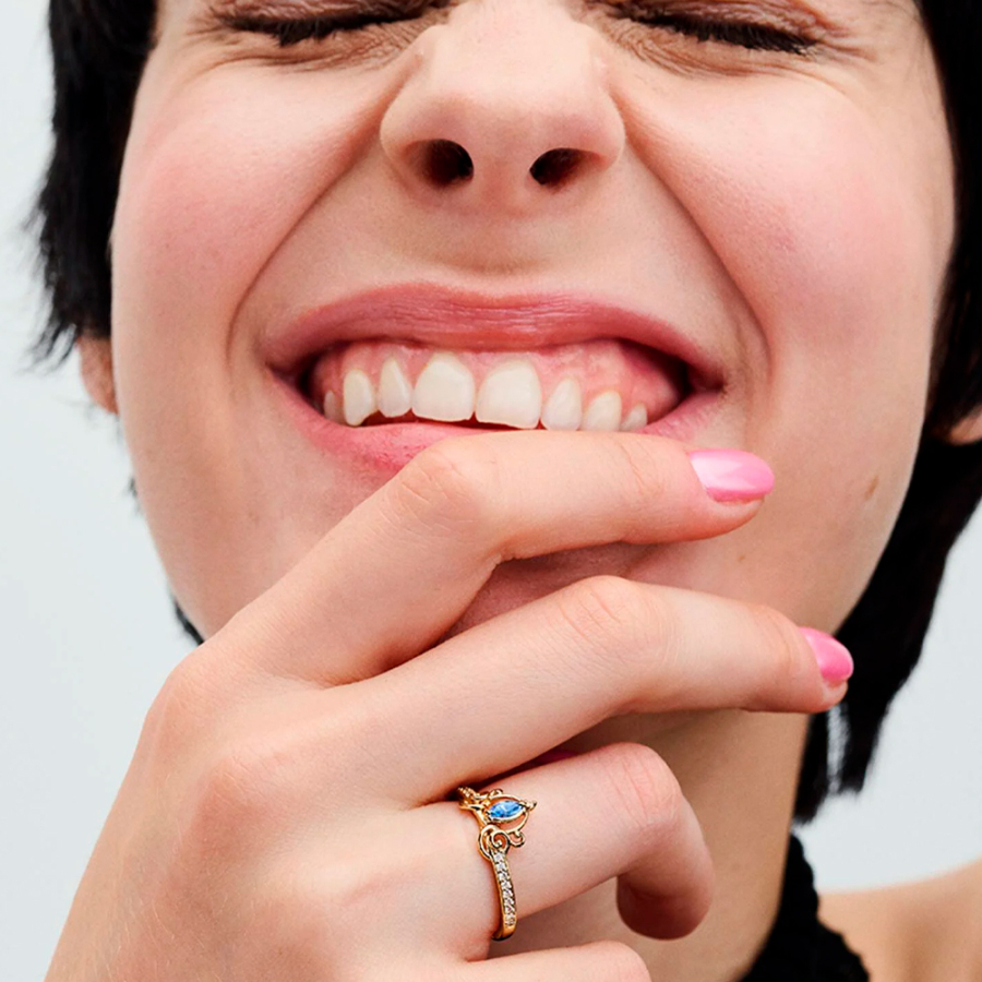 disney-cinderella-kutschenring