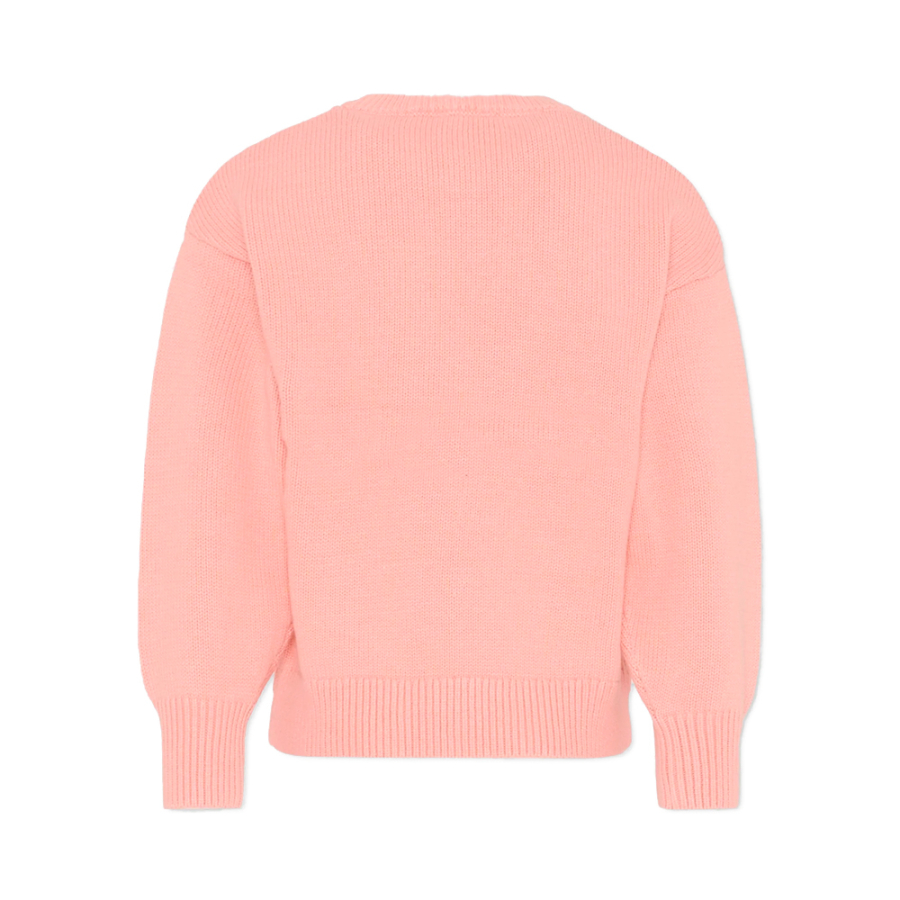 camisa-infantil-com-o-logotipo-do-tigre