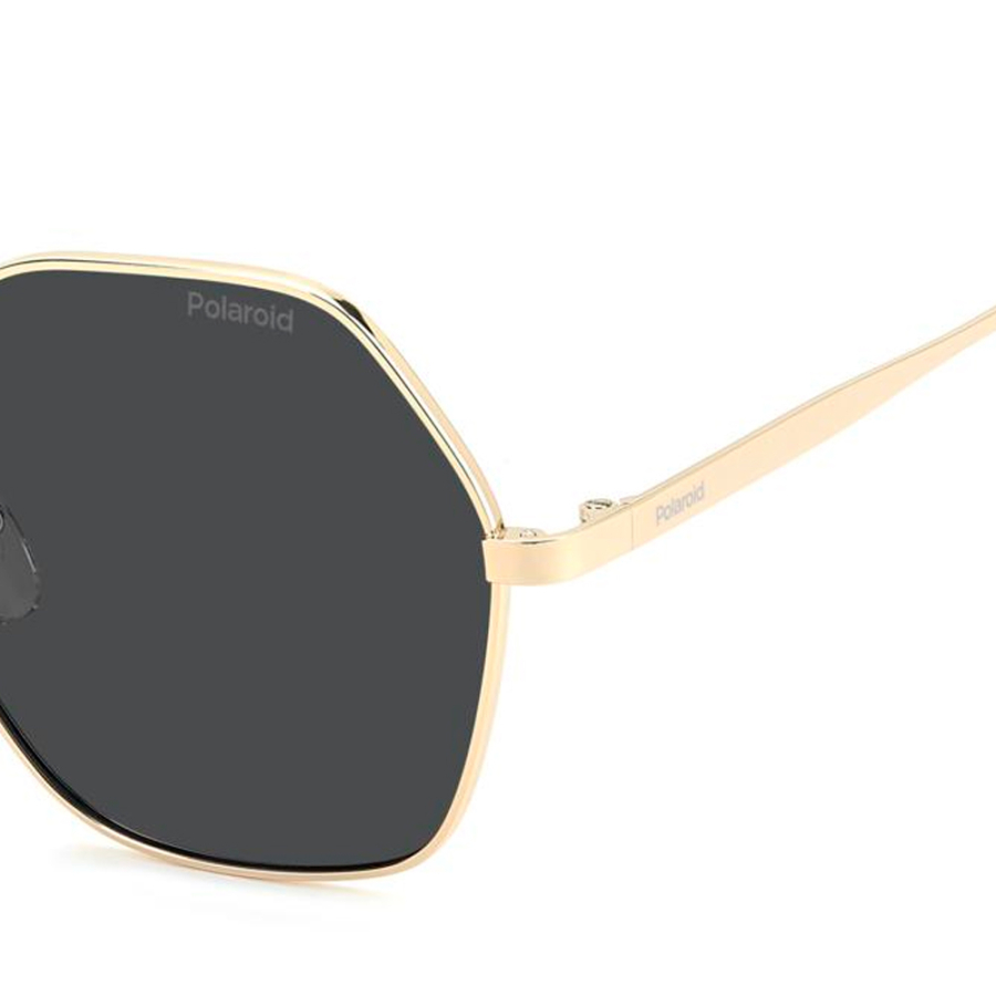 sunglasses-pld-4205-g-s-x