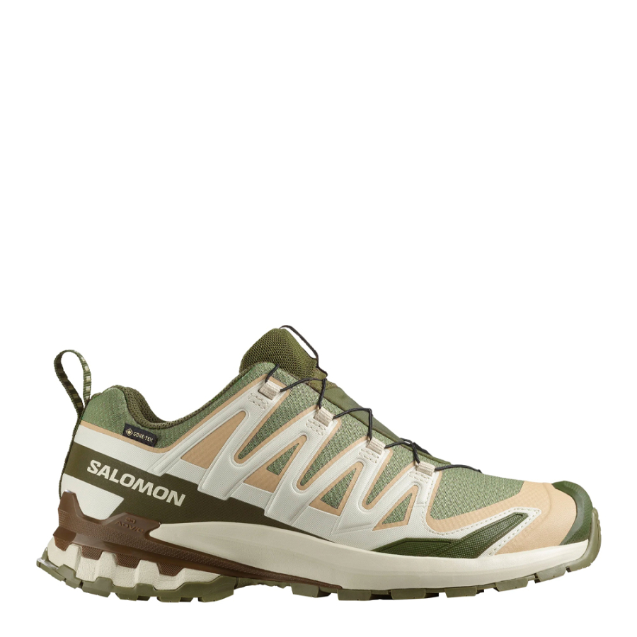 xa-pro-3d-v9-gore-tex-schuh