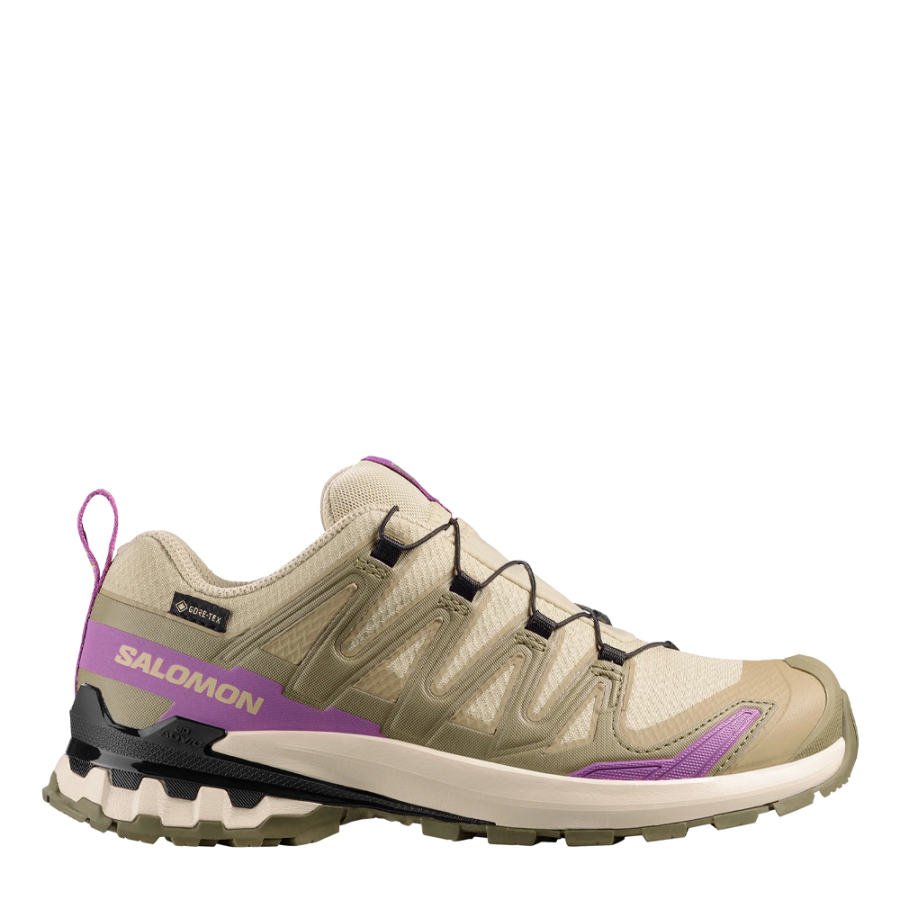 xa-pro-3d-v9-gore-tex-shoe