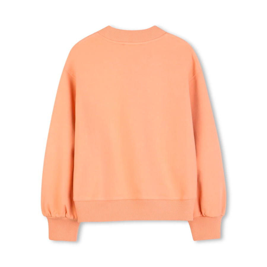 sweatshirt-c2084543a-kids sweatshirt-c2084543a-kids