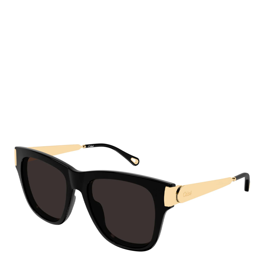 sonnenbrille-ch0349s