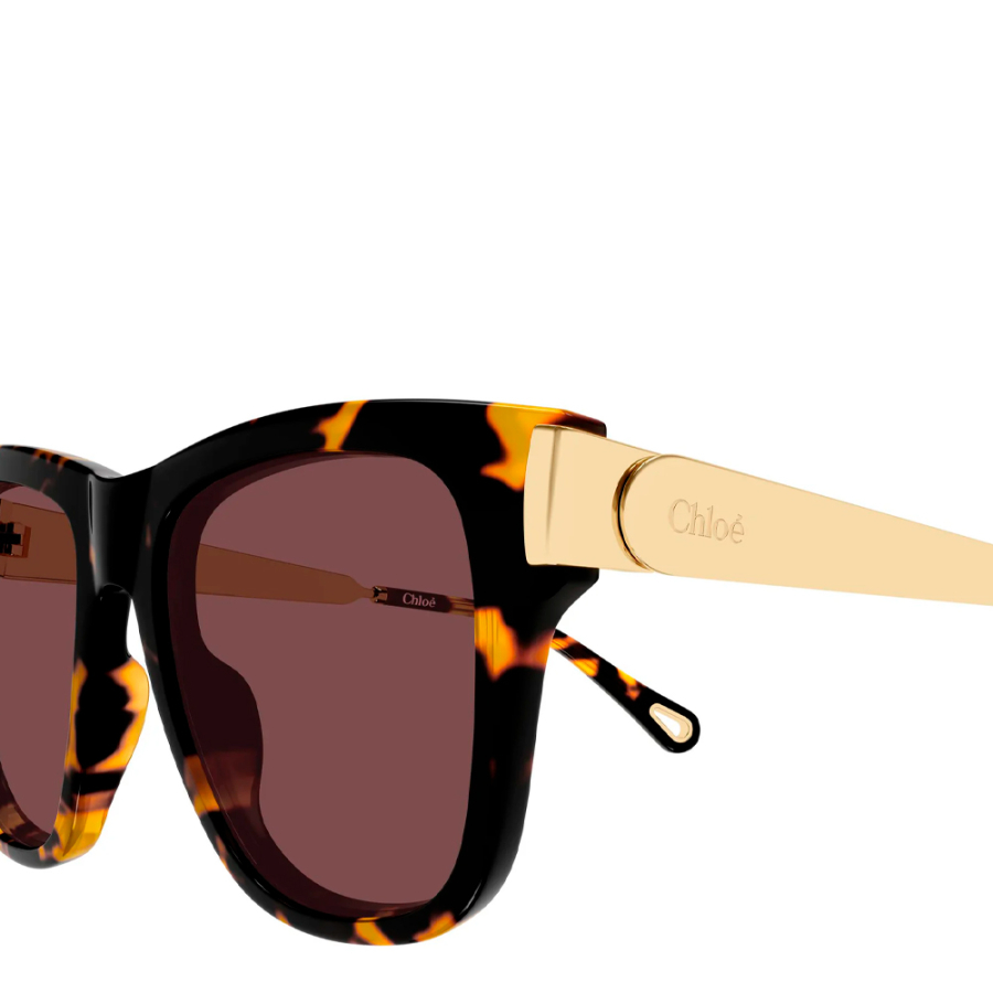 sonnenbrille-ch0349s