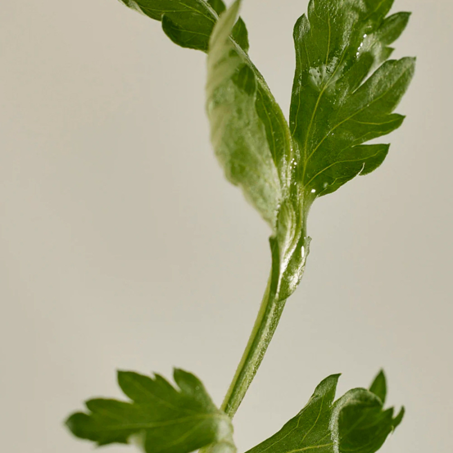 matte-sun-stick-mugwortcamellia-spf-50-pa-gezichtsscherm-stick