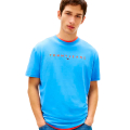 C38-BLUE