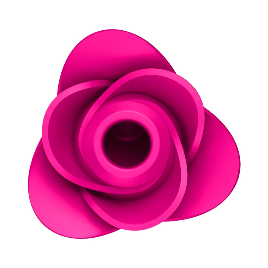 succionador-pro-2-classic-modern-blossom