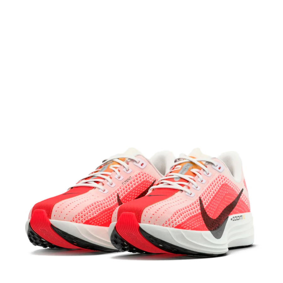 zapatillas-pegasus-plus
