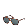53V-HAVANA CLARA/BLUE