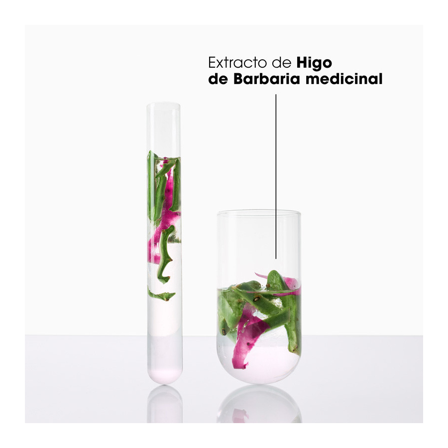 Champú Hidratación y Brillo al Higo de Barbaria