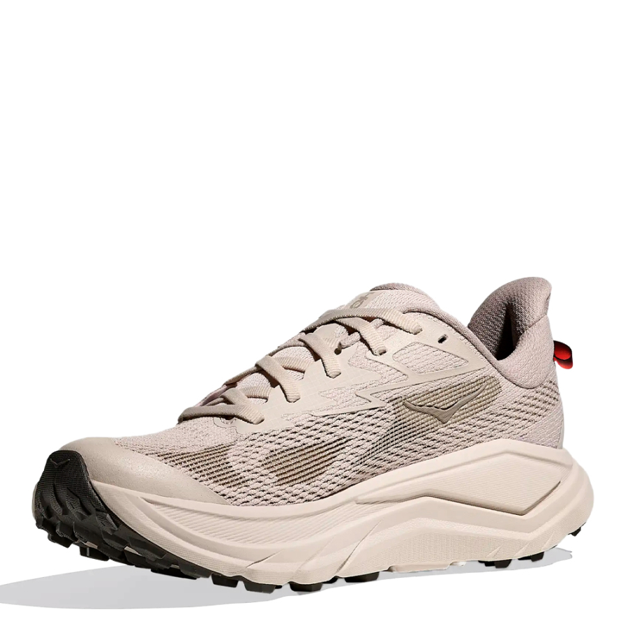 challenger-8-shoe