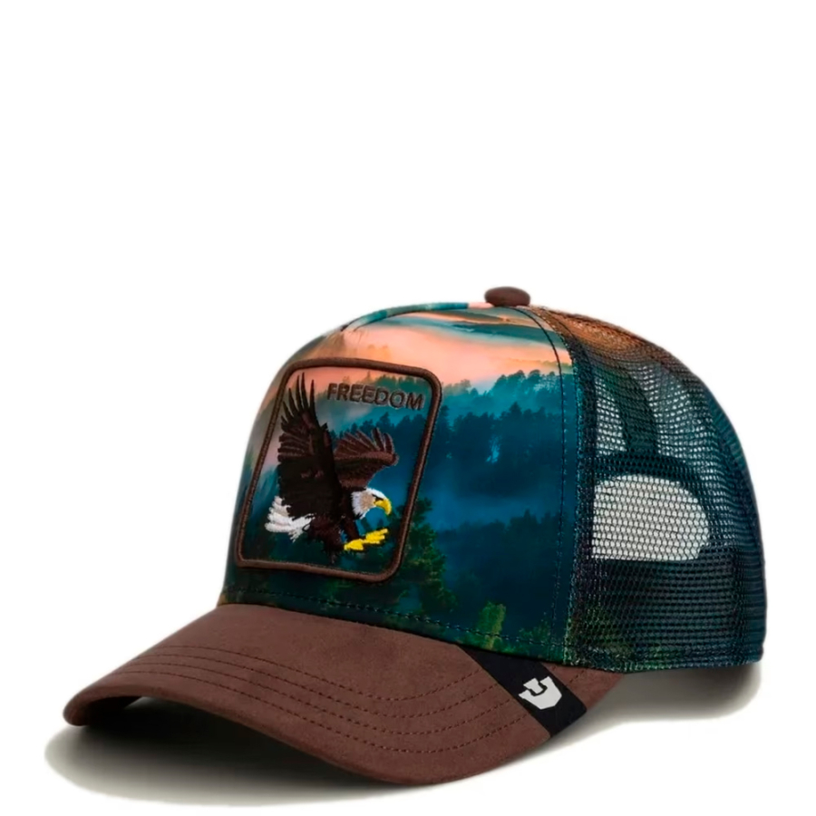 aquila-nel-cappello-dell-elemento
