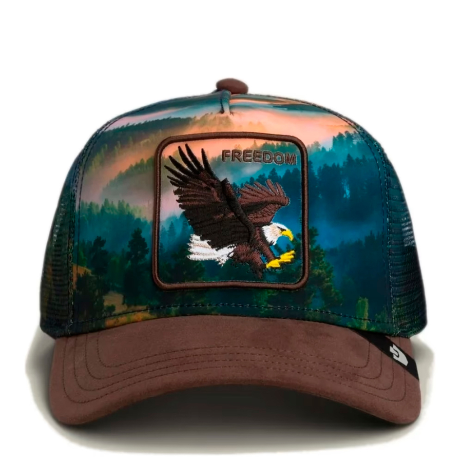 aigle-dans-le-chapeau-elementaire
