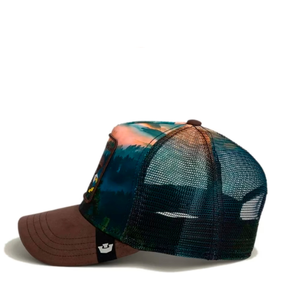 eagle-in-the-element-cap