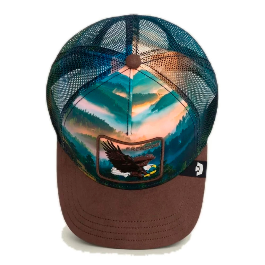 eagle-in-the-element-cap