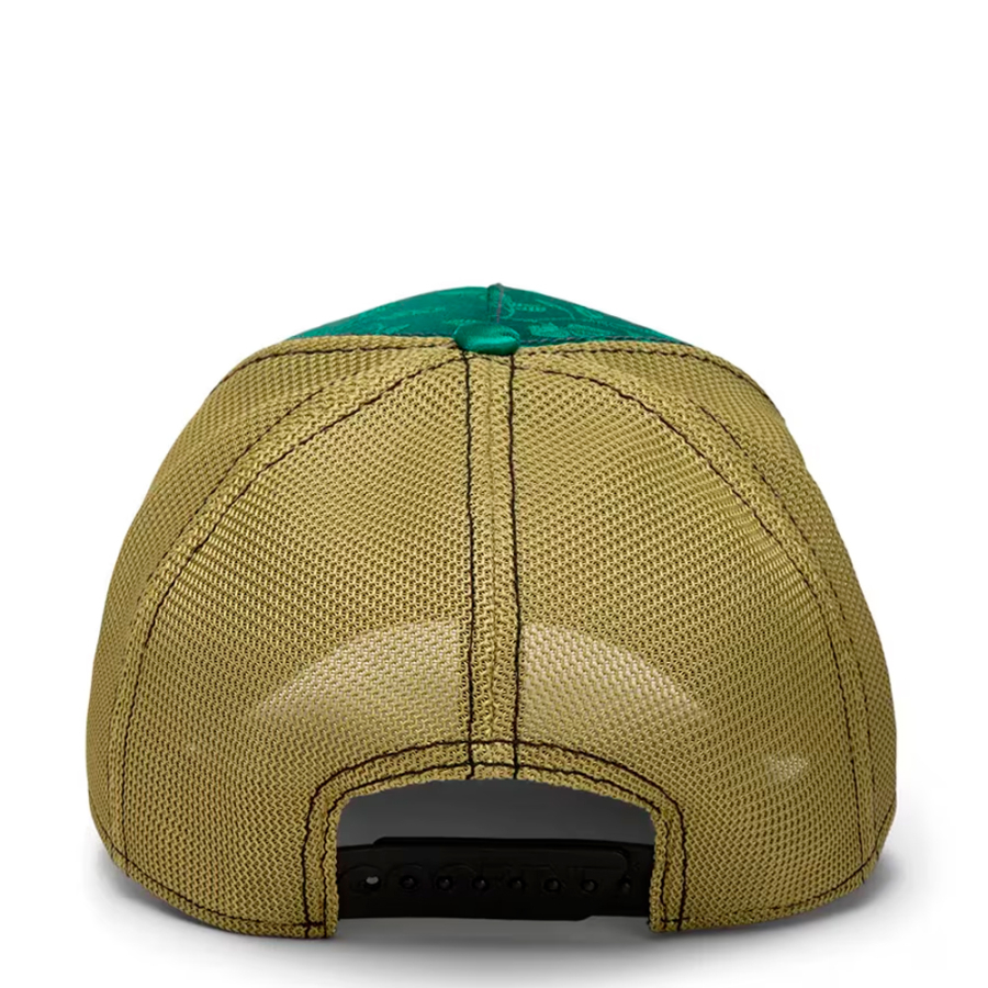 gorra-belize-toucan gorra-belize-toucan