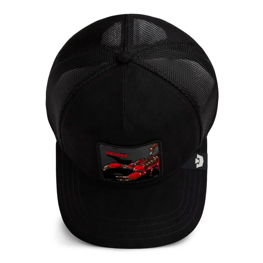 bone-scorpion-blackout bone-scorpion-blackout