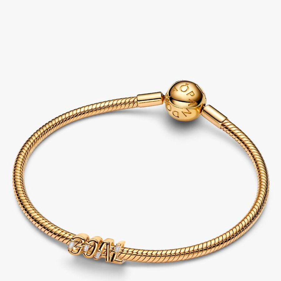 charm-ziel-skript-764709c01