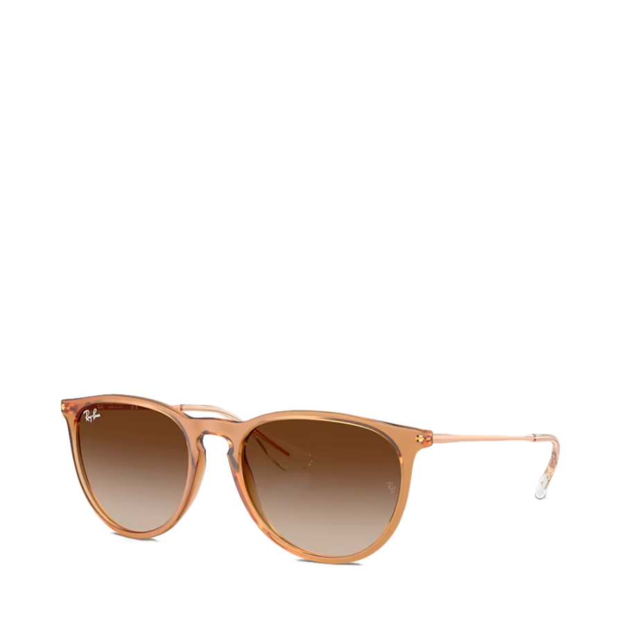 oculos-de-sol-erika-classic-rb4171 oculos-de-sol-erika-classic-rb4171