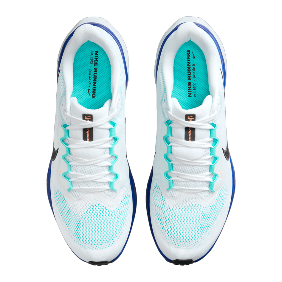zapatilla-pegasus-41-road-run
