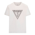 G018-SALT WHITE